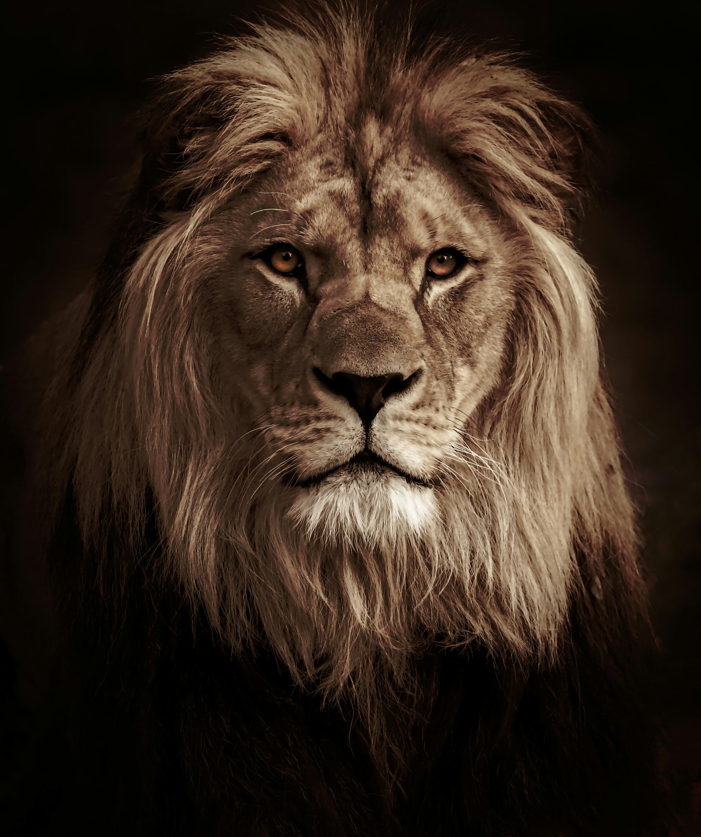 The Majestic Guardian – Vastu Lion Canvas Map for Power & Protection